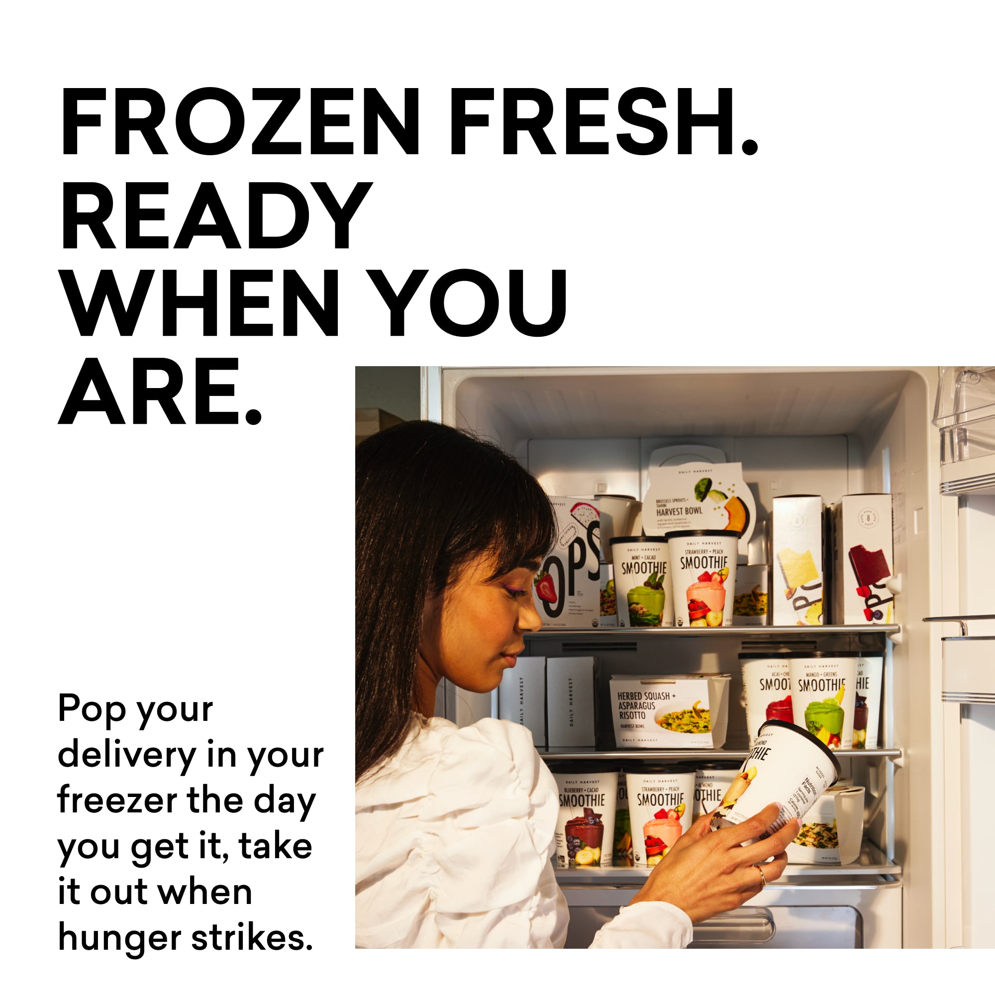 Target+: Lunch & Dinner Favorites (10 pack) Daily Harvest