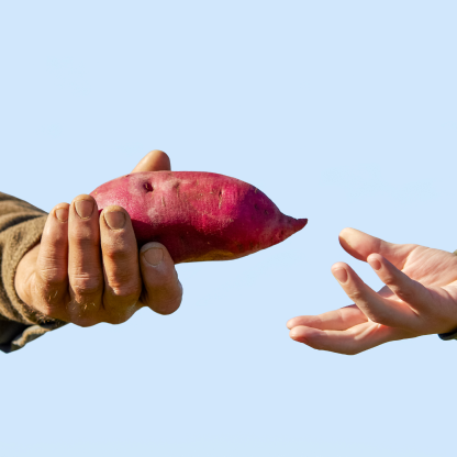 sweet potato getting handed.