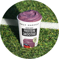 Daily Harvest protein smoothie container on grass