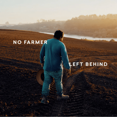 7 Health Benefits of Cinnamon - Daily Harvest