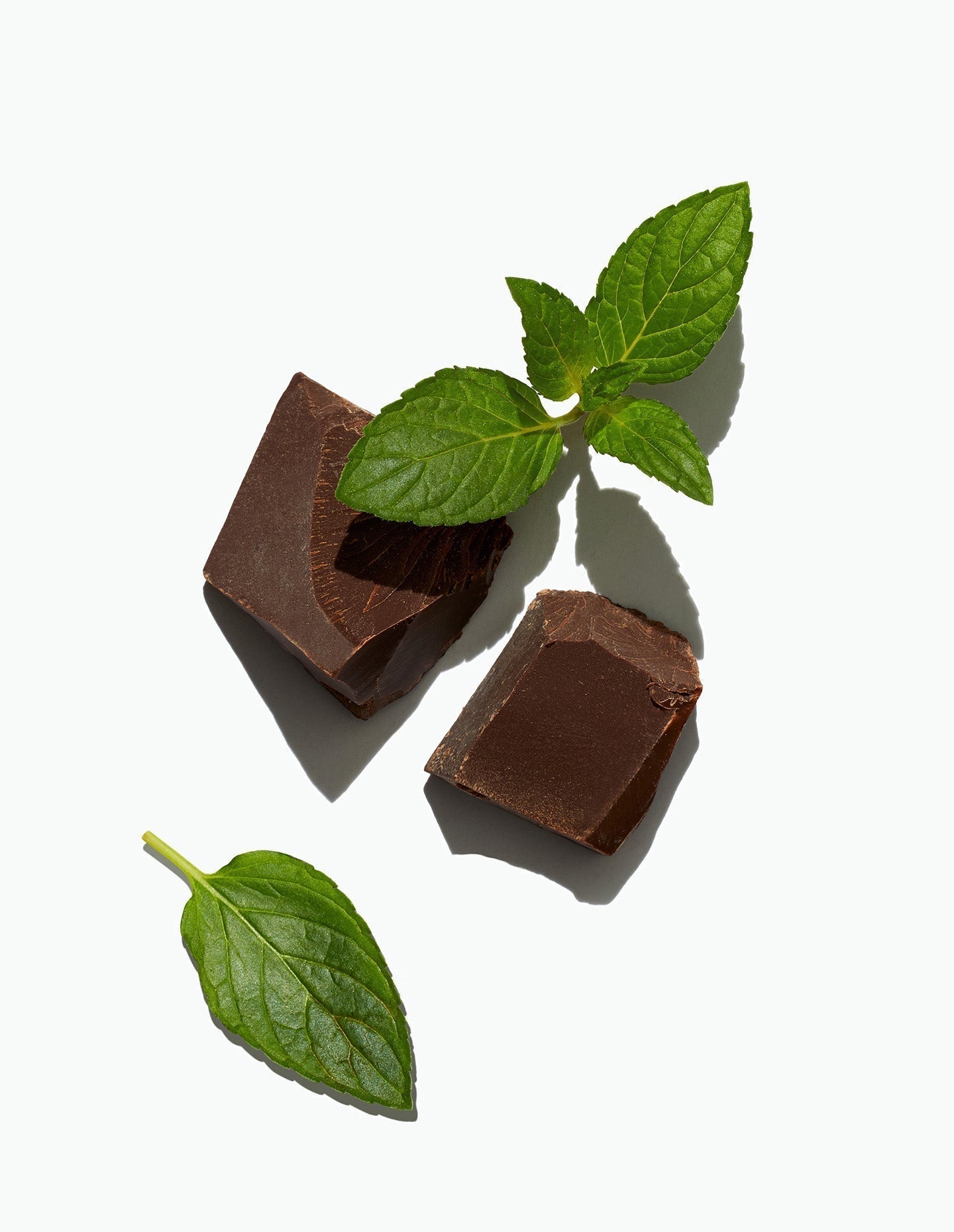 Cacao vs Cocoa? The Explanation May Surprise You - Daily Harvest