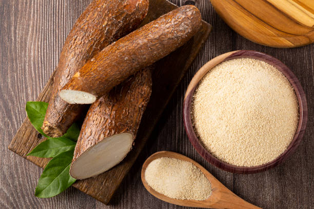 Cassava and Yuca—Are They the Same? - Daily Harvest