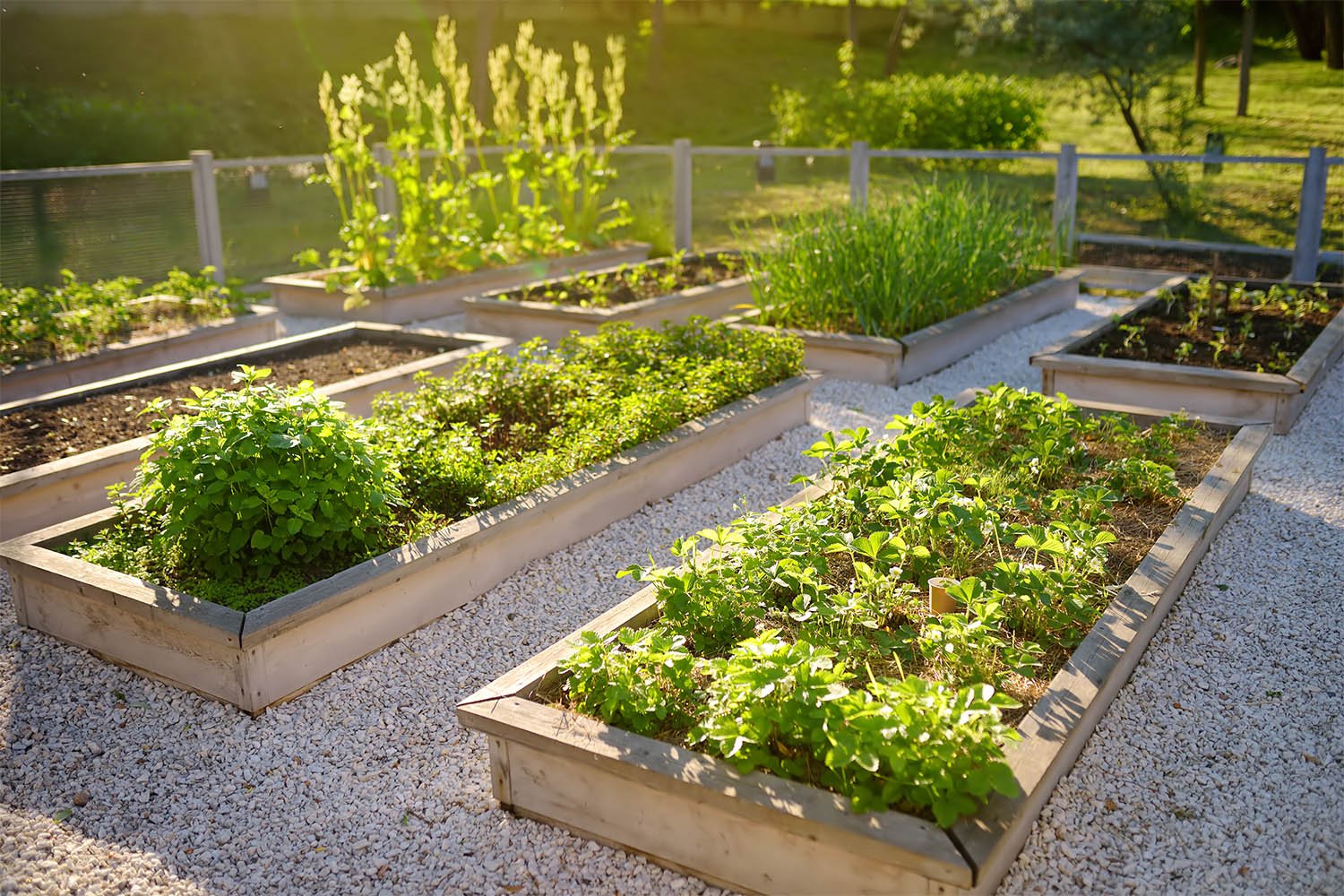 Eat the Solution: A How-To Guide - Daily Harvest