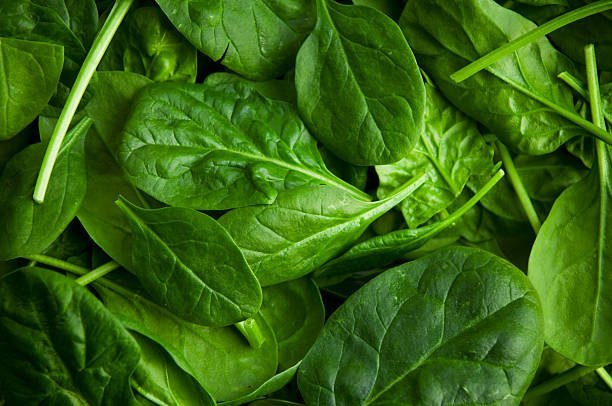 Everything You Need to Know About Spinach Nutrition - Daily Harvest