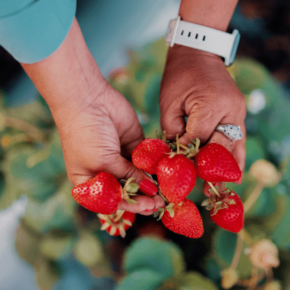 Healthy Food That Tastes Good - Daily Harvest