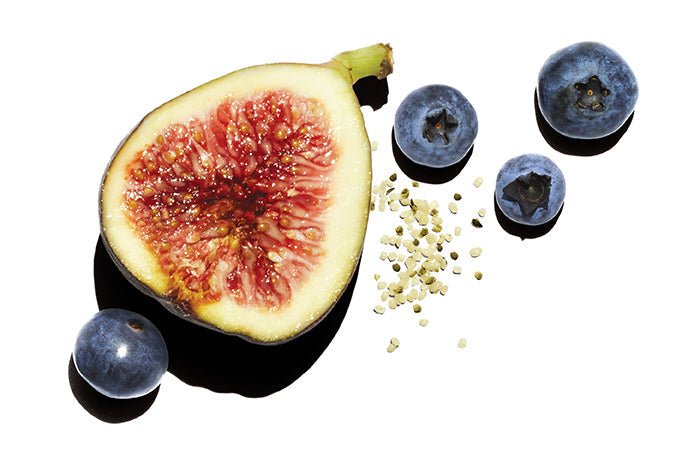 How Do Blueberries Grow? - Daily Harvest