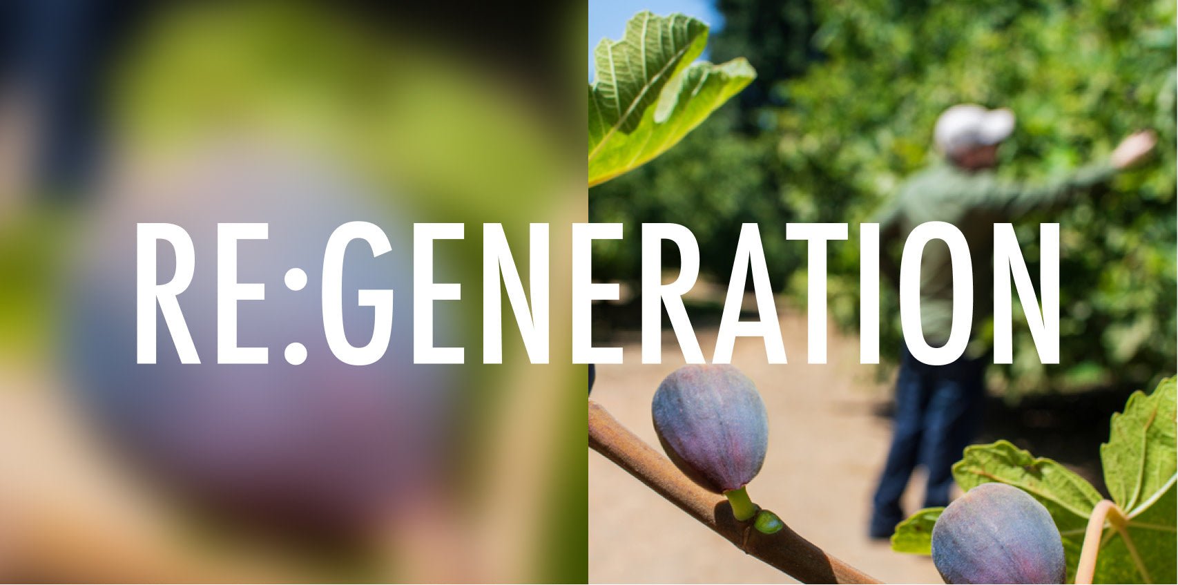 Regarding Future Generations - Daily Harvest