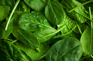 Everything You Need to Know About Spinach Nutrition