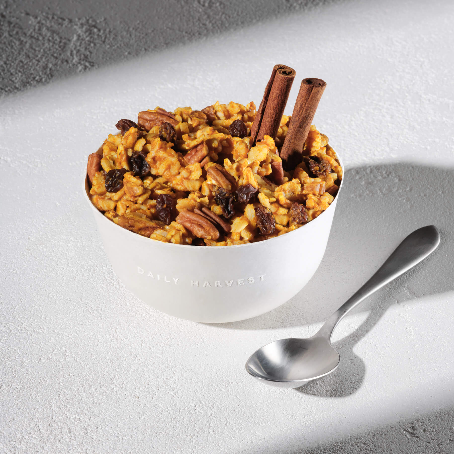 Image of Daily Harvest Kabocha and Chai Oat Bowl prepared in a bowl with cinnamon garnish.