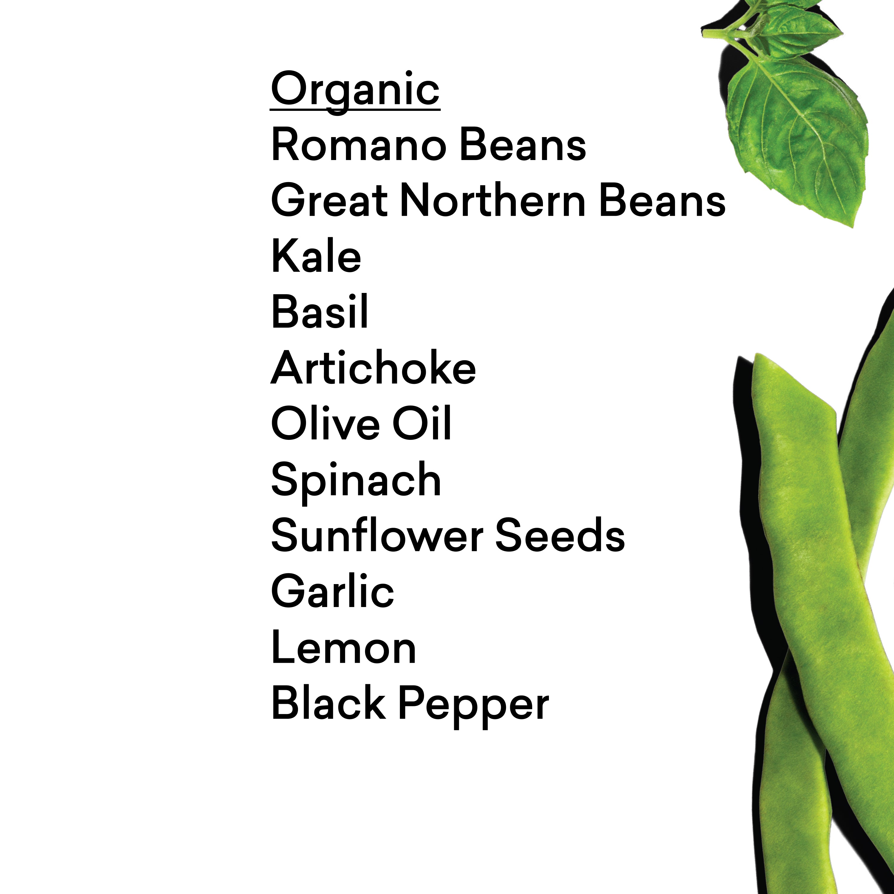 White Bean + Spinach Pesto