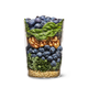 Blueberry + Hemp