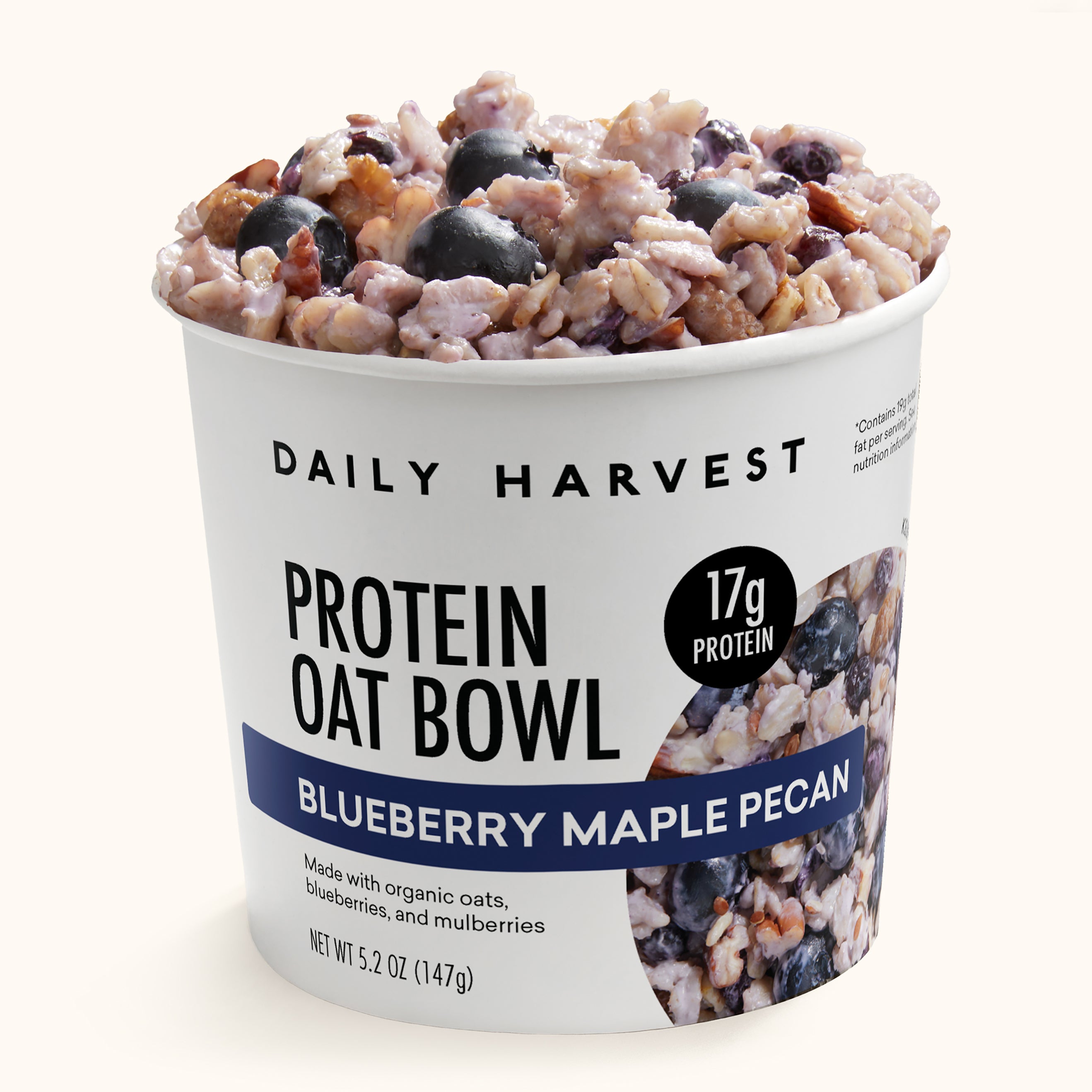 Daily Harvest Daily Harvest Blueberry Maple Pecan Protein Oat Bowl — product image