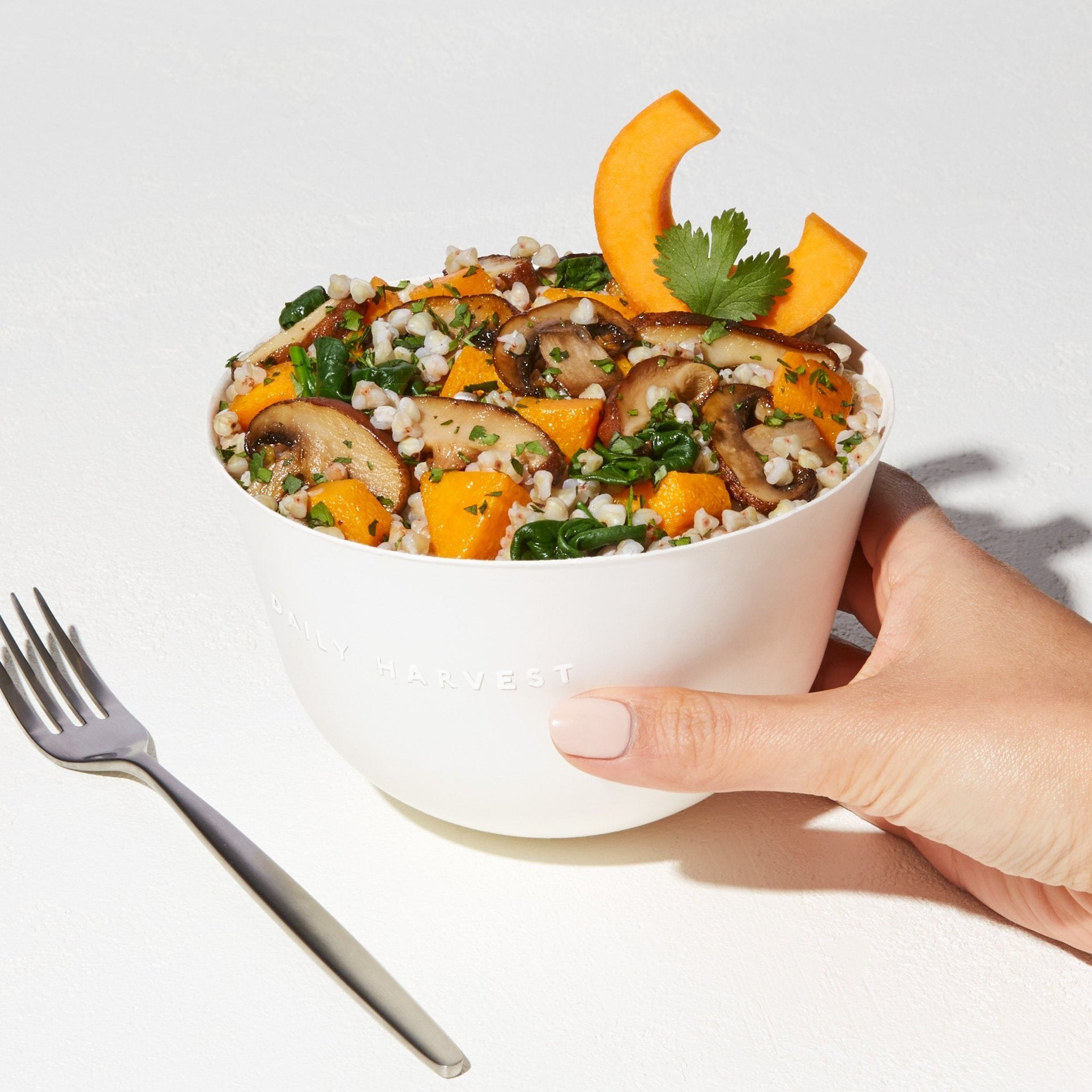 Butternut Squash + Chimichurri - Daily Harvest