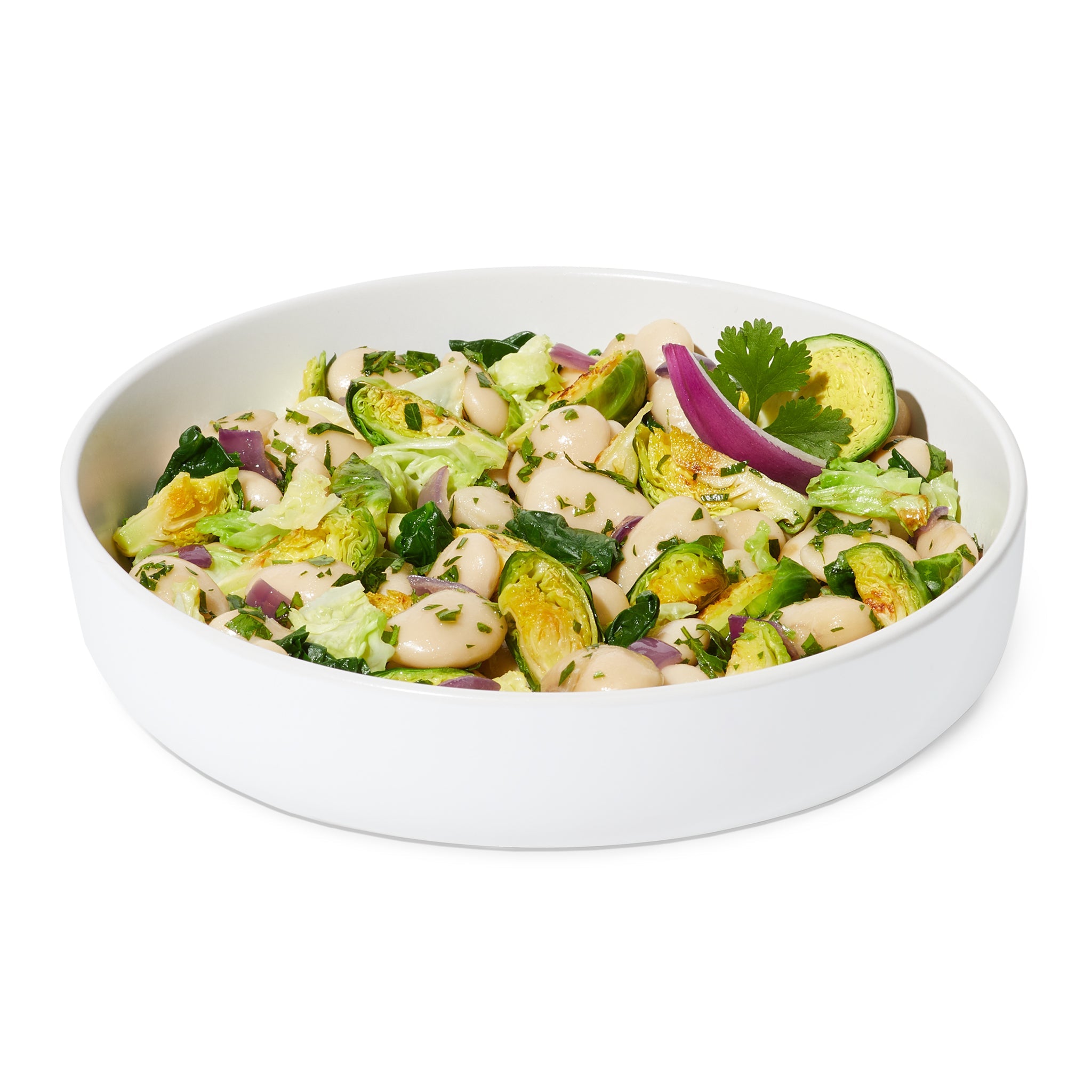 Gigante Bean + Cabbage 6 Pack product image