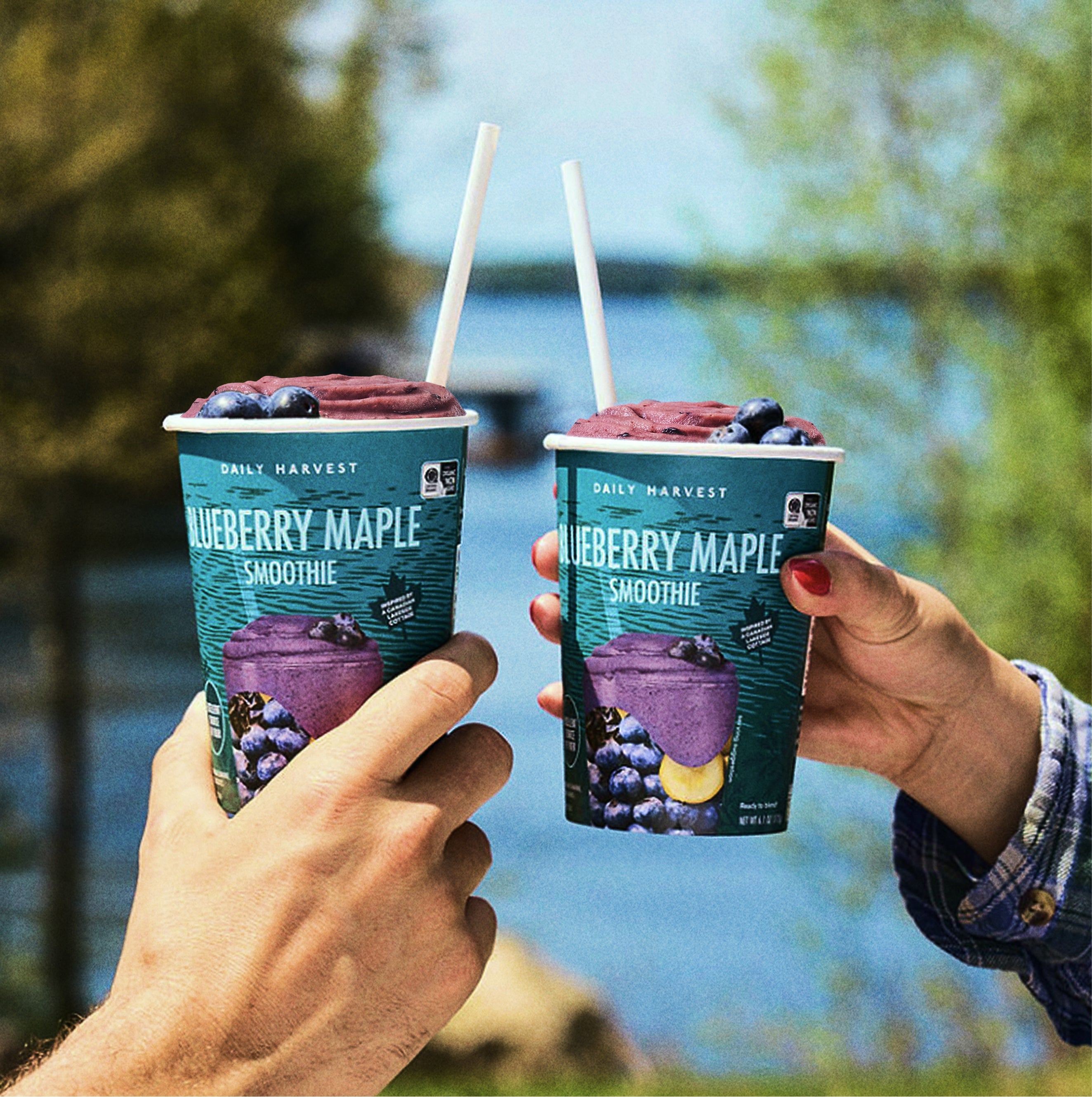 Blueberry Maple