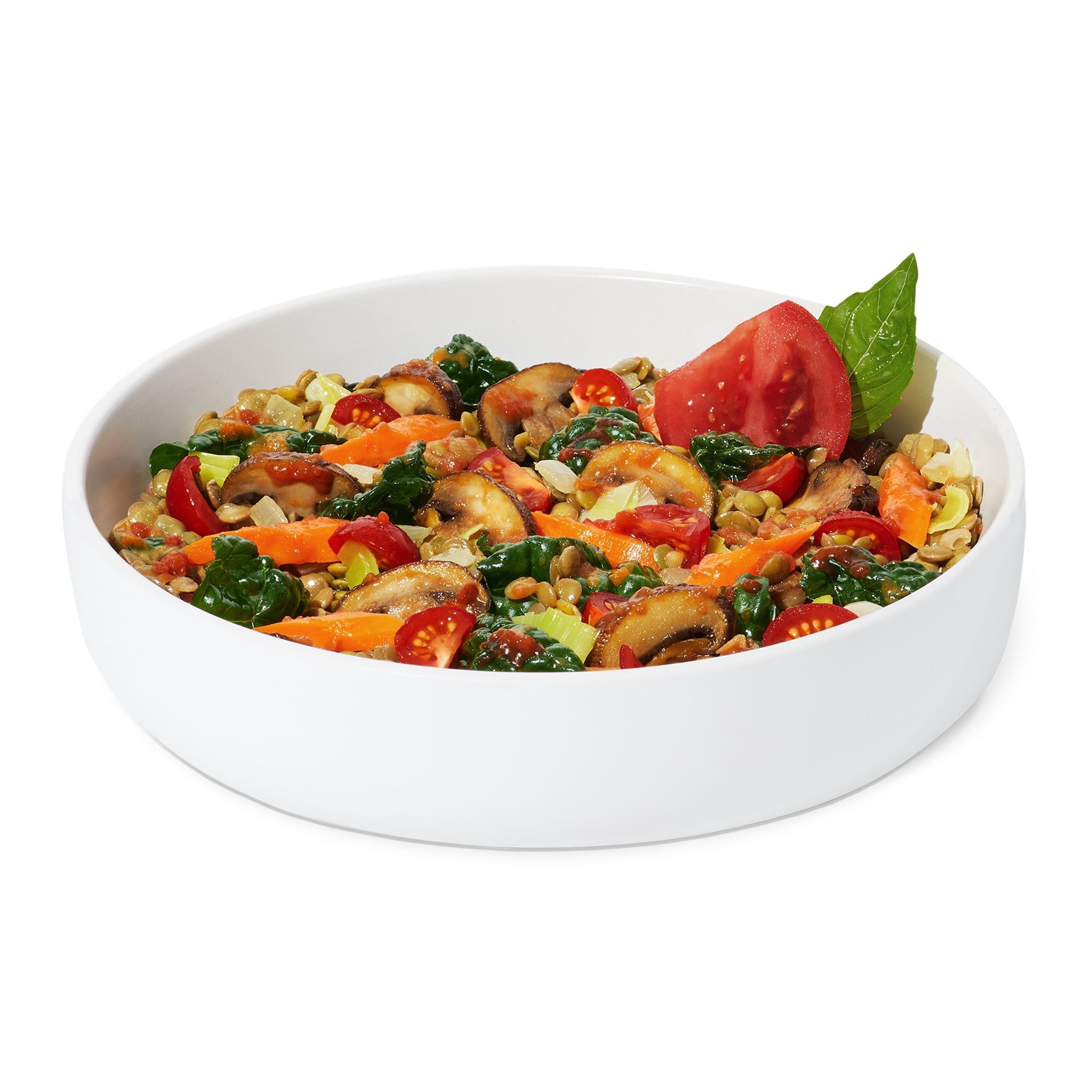 Lentil + Tomato Bolognese 6 Pack - Daily Harvest