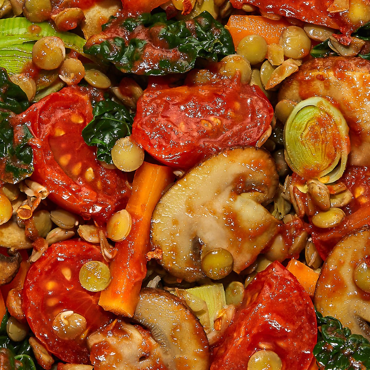 Lentil + Tomato Bolognese 6 Pack - Daily Harvest