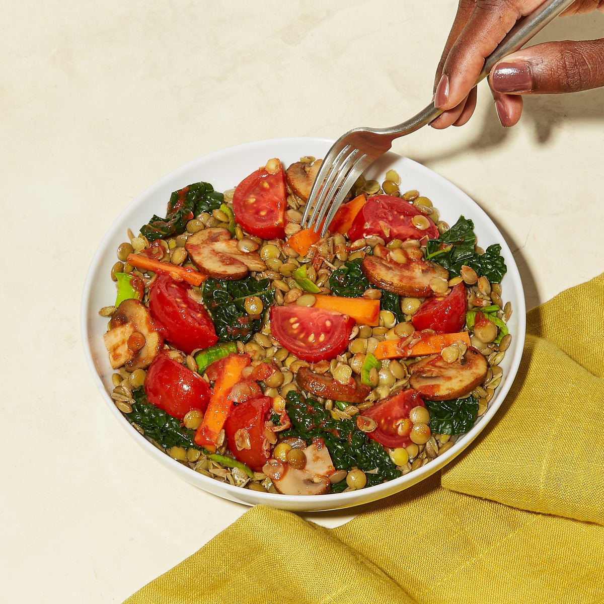 Lentil + Tomato Bolognese 6 Pack - Daily Harvest