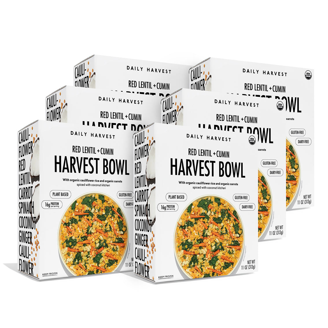 Red Lentil + Cumin 6 Pack