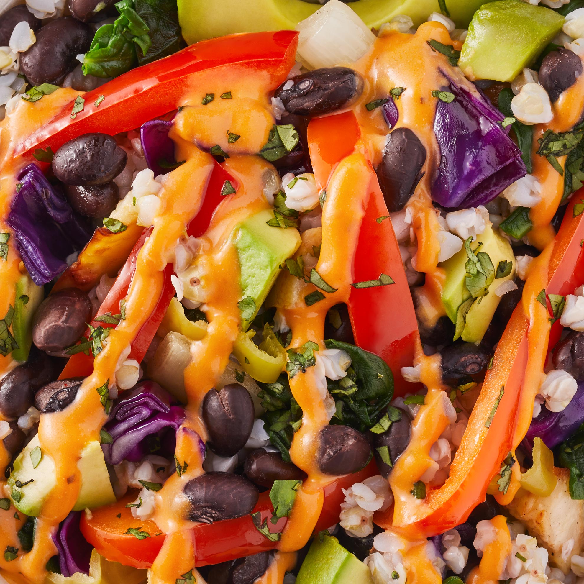 Black Bean + Cheeze - Daily Harvest